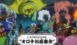 小小号最新爆料,揭秘娱乐圈最新动态